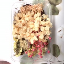 Ivroy Set of Dry Flowers, Pine Corns, Leaves and more for Resin art By Get Inspired