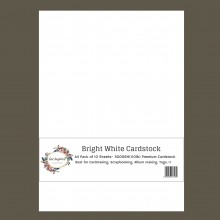 Bright White Premium Cardstock A4 Size 300GSM - 110lb Pack of 10 Sheets