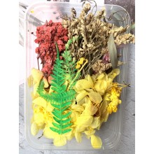 Yellow Set of Dry Flowers, Pine Corns, Leaves and more for Resin art By Get Inspired