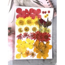 Bright Day Red and Yellow Pressed Dry Flowers for Resin art By Get Inspired