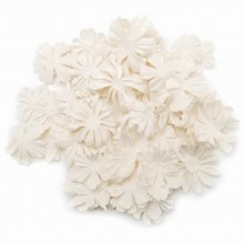 White Wildflower Pillar Pack Paper Petals .5" - 2.5" 1.2oz