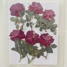Get Inspired Pink Color Pressed Dry Flowers for Resin Art