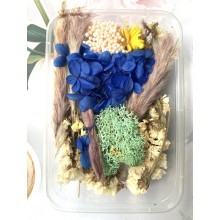 Admiral Blue Set of Dry Flowers, Pine Corns, Leaves and more for Resin art By Get Inspired