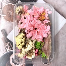 Pink Set of Dry Flowers, Pine Corns, Leaves and more for Resin art By Get Inspired