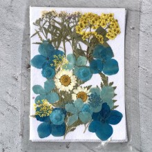 Ocean and Sunshine Pressed Dry Flowers for Resin art By Get Inspired