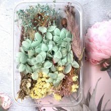 Sea Green Set of Dry Flowers, Pine Corns, Leaves and more for Resin art By Get Inspired